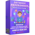 Database Programmer